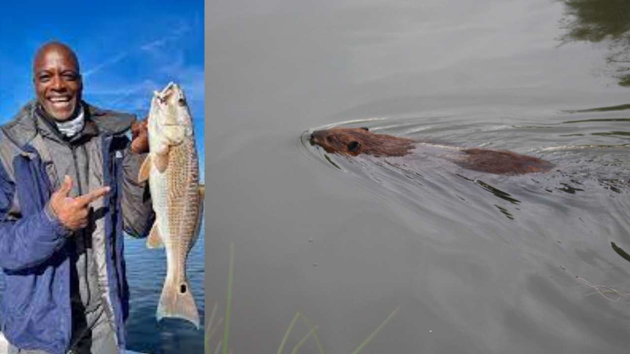 Yellow Greetings Destination Vacation Card